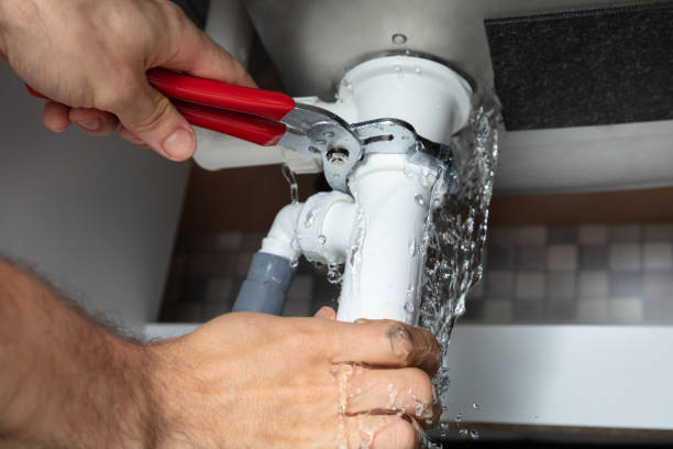 Best Water damage restoration specialists  in Carpentersvle, IL