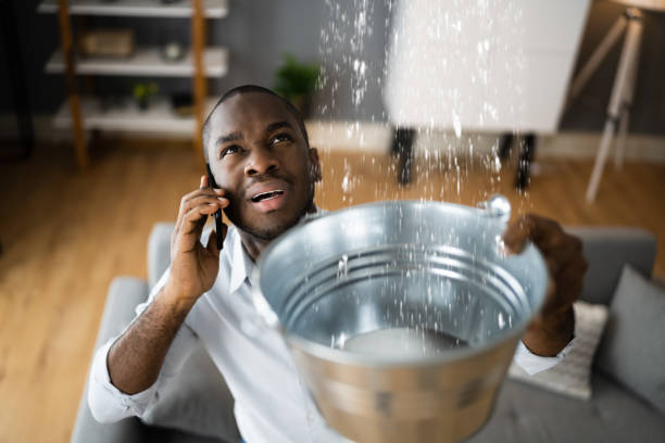 Best Emergency water damage restoration  in Carpentersvle, IL