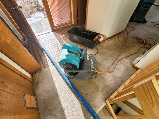 Best Fire Damage Restoration  in Carpentersvle, IL