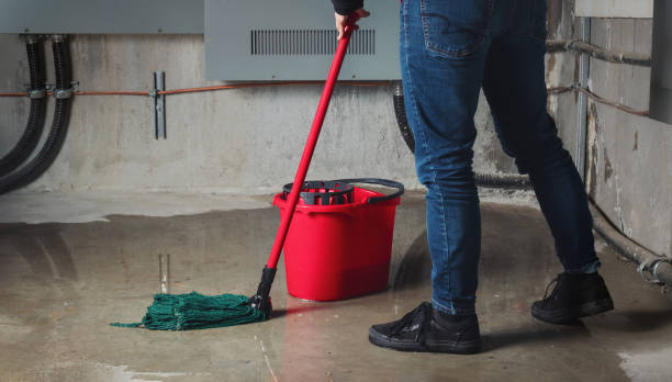 Best Carpet water damage restoration  in Carpentersvle, IL