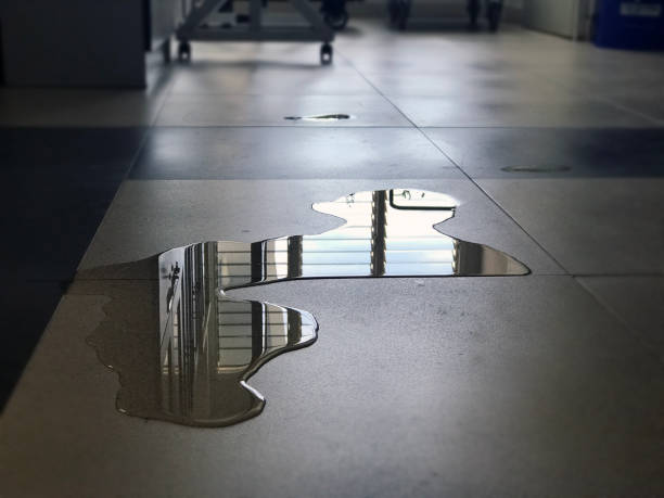 Best Commercial water damage restoration  in Carpentersvle, IL