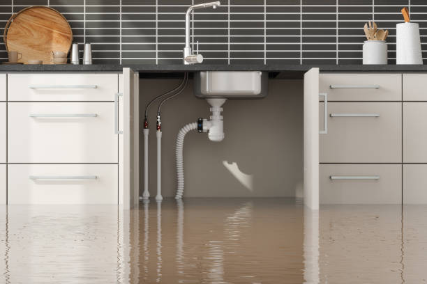 Best Water damage cleanup near me  in Carpentersvle, IL